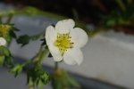DSC_0946.JPG