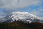 DSC_0962.JPG